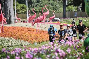 BIB: 
                            <button type="button" onclick="openModal(27794279)" class="btn btn-primary btn-sm float-right btn-popup" data-toggle="modal" data-target=".modal-high-quality">
                        <i class="fas fa-shopping-cart"></i> Add to Cart
                    </button>
                                            <button type="button" onclick="isThisMe(27794279, true)" class="btn btn-success btn-sm float-right btn-popup btn-isme hidden" data-toggle="tooltip" data-placement="bottom" title="นี่คือรูปของคุณใช่ไหม คลิกที่นี่เพื่อเอาเข้าอัลบั้ม">
                        <i class="fas fa-plus"></i> Add to album
                    </button>
                    <button type="button" onclick="isThisMe(27794279, false)" class="btn btn-warning btn-sm float-right btn-popup btn-isnotme hidden">
                        <i class="fas fa-ban"></i> Remove from album
                    </button>